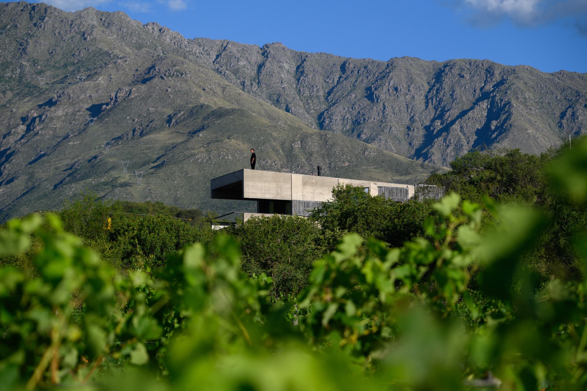 Casa contemporánea entre las sierras de Córdoba